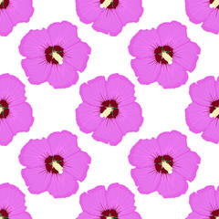 Hibiscus. Pink floral seamless pattern