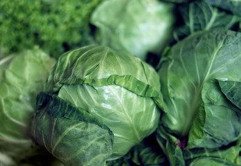 Obraz premium Сabbage harvest. Fresh сabbage from the home garden.
