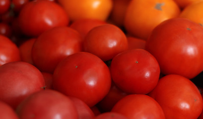 Group of tomatoes. Fresh raw tomato from the home garden.