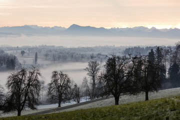 Ice cold winter morning with fog and Mount Rigi in the background at sunrise in Central Switzerland