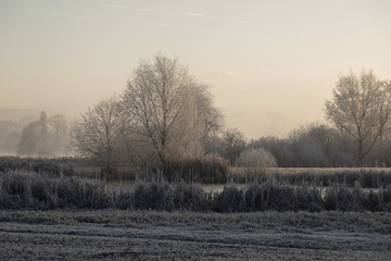 Trees with hoarfrost on an ice cold winter morning and a frozen pond in the foreground in central Switzerland