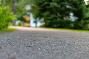 Black Forest Park Path Background