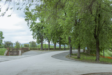 Obraz premium Park on the historic walkable city wall of the Italian city of Lucca in the Pisa region