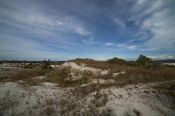 Fototapeta na wymiar Grasslands and sand on the Beach with blue sky.jpg