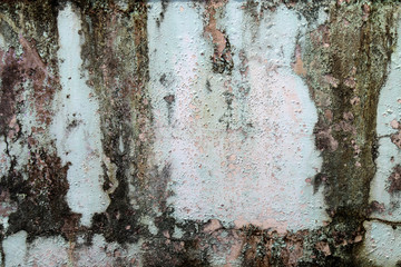 Traces of time left on the wall. Old concrete background. Moldiness walls. Abstract textures.