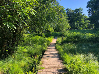 Nature path