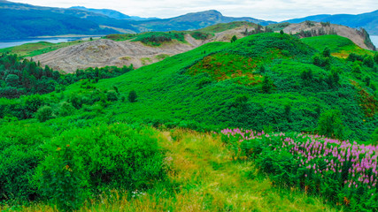 Wonderful landscape and green hills around Loch Long in Scotland