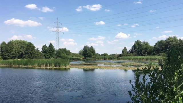 Teichlandschaft mit Schilf und Seerosen