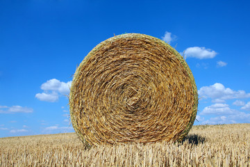 Round bale of straw on a field and blue sky