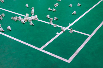 blurred badminton shuttlecock with white line on green court