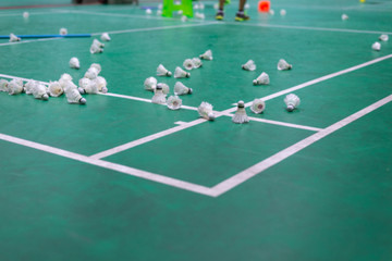 Fototapeta na wymiar blurred badminton shuttlecock with white line on green court