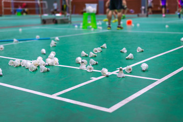 Fototapeta premium badminton shuttlecock with white line on green court