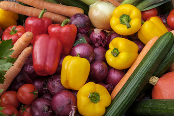 Bunte Gemüsekiste