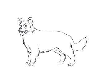 dog stands, lines, vector