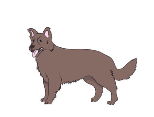 dog vector in the room