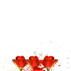 Red Watercolor flowers on white background. Handmade illustration.
