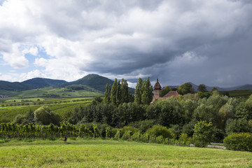 Fototapeta na wymiar Landschaft in der Südpfalz