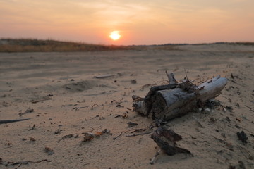 Zachód słońca na Pustyni Błędowskiej, Polska, pusto, nikogo, ogniste kolory nieba, spróchniały pień drzewa leży na piasku - obrazy, fototapety, plakaty