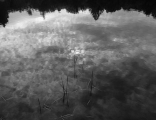 East coast nature landscape