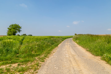 Fototapeta na wymiar A country road through a green French landscape