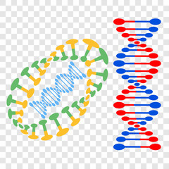 DNA different sets of spirals on transparent background. Vector elements for your design.