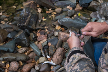 Fisherman cleaning grayling fish by knife at outdoors