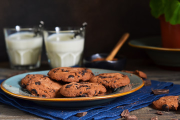 Homemade chocolate chip cookies with chocolate in a plate with milk on a background with a flower in a flower pot. Food background.