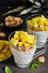 Summer light dessert - yoghurt with chia, muesli and a variety of fruits on a dark concrete...