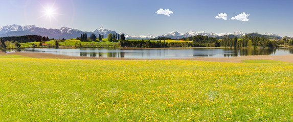 Panorama Landschaft mit Berge am Forggensee im Allgäu in Bayern