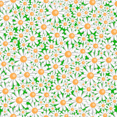 Seamless texture with cartoon daisies on a green background
