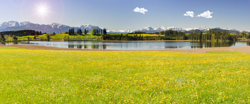 Panorama Landschaft mit Berge am Forggensee im Allg&auml;u in Bayern