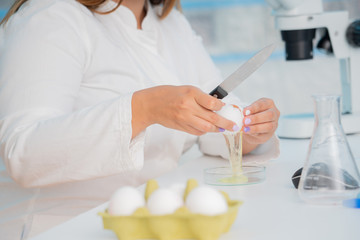 Eggs in quality inspection lab