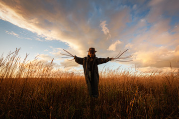 Scary scarecrow in a hat on a cornfield in orange sunset background. Halloween holiday concept