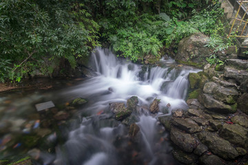 Fototapeta na wymiar Small waterfall in the tropical jungle