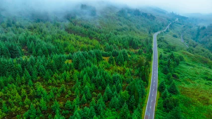 Narrow street through the forest - view from above