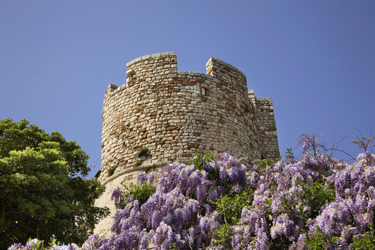 Place de la Castre in Cannes. France