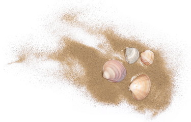 Sea shells in sand pile isolated on white background, top view