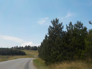 Fototapeta premium road