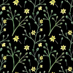 Meadow Plants hand painted watercolor seamless pattern