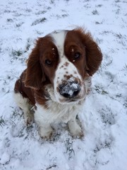 Can you smell snow?