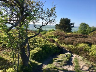 Welcome to Yorkshire