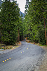 Driving through woods