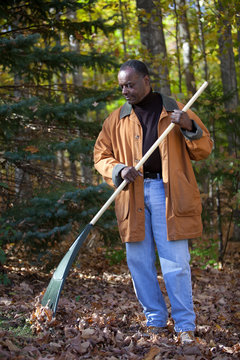 Senior African American Man Raking Leaves