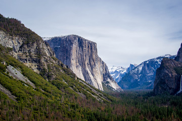 Fototapeta premium El Capitan by a meadow
