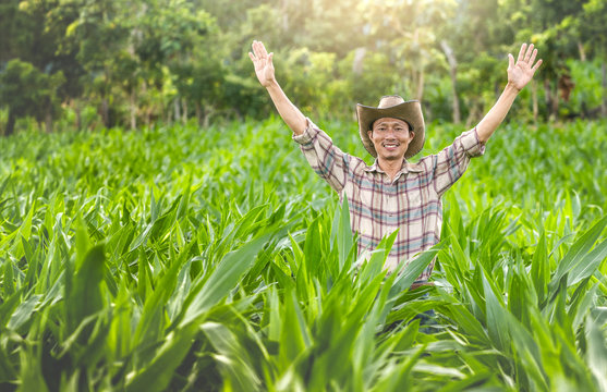 Young farmer happy and put hands up in a corn field.
