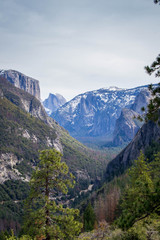 Obraz premium El Capitan by a meadow