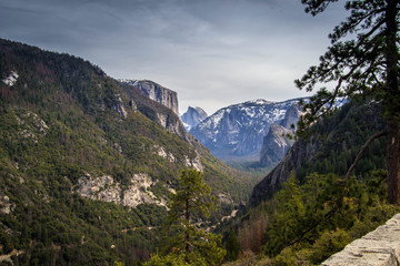 Fototapeta premium El Capitan by a meadow