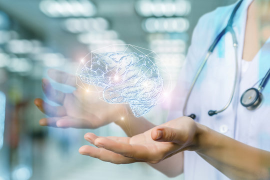 Brain in the hands of the medical worker .