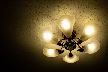 Round light bulbs for illumination at night.