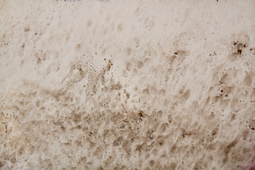 White stone wall texture - porous structured material